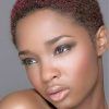 Cute Short Hairstyles For Black Women (Photo 22 of 25)