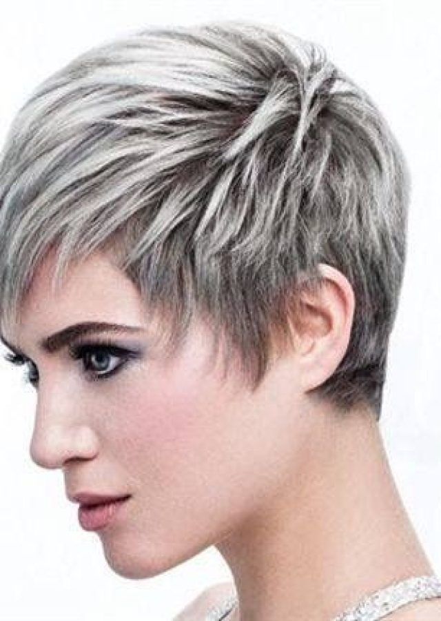2024 Latest Gray Pixie Afro Hairstyles