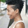 Short Haircuts For Black Women Natural Hair (Photo 19 of 25)