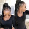 Trendy Two-Tone Braided Ponytails (Photo 16 of 25)
