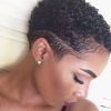 Black Women Natural Short Haircuts (Photo 9 of 25)