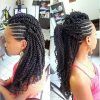 Braided Frohawk Hairstyles (Photo 3 of 13)