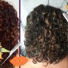 Brown Curly Hairstyles With Highlights (Photo 25 of 25)