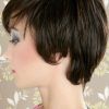 Pixie Hairstyles With Long Layers (Photo 14 of 15)