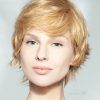 Pixie Hairstyles For Long Face (Photo 13 of 15)