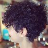 Naturally Curly Pixie Hairstyles (Photo 3 of 15)