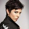 Pixie Haircuts With Short Thick Hair (Photo 1 of 25)