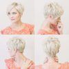 Back View Of Pixie Hairstyles (Photo 15 of 15)