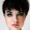 Pixie Hairstyles On Round Faces (Photo 6 of 15)