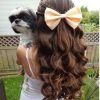 Ponytail And Lacy Braid Hairstyles (Photo 4 of 25)
