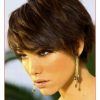 Short Haircuts For Thick Straight Hair (Photo 3 of 25)