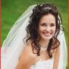Wedding Hairstyles For Long Hair Down With Veil And Tiara (Photo 4 of 15)