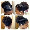 Quick Braided Hairstyles For Natural Hair (Photo 9 of 15)