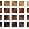 Brown Blonde Sweeps Of Color Hairstyles (Photo 19 of 25)