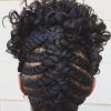 Twisted And Braided Mohawk Hairstyles (Photo 15 of 25)