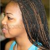 Black And Brown Senegalese Twist Hairstyles (Photo 13 of 25)