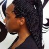 Cornrows And Senegalese Twists Ponytail Hairstyles (Photo 2 of 25)