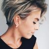 Highlighted Shag Hairstyles (Photo 25 of 25)