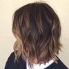 Shaggy Bob Hairstyles With Face-Framing Highlights (Photo 20 of 25)