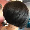 Rounded Sleek Bob Hairstyles With Minimal Layers (Photo 12 of 25)