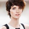 Pixie Haircuts With Shaggy Bangs (Photo 5 of 25)