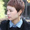 High Pixie Asian Hairstyles (Photo 20 of 25)