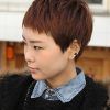High Pixie Asian Hairstyles (Photo 11 of 25)