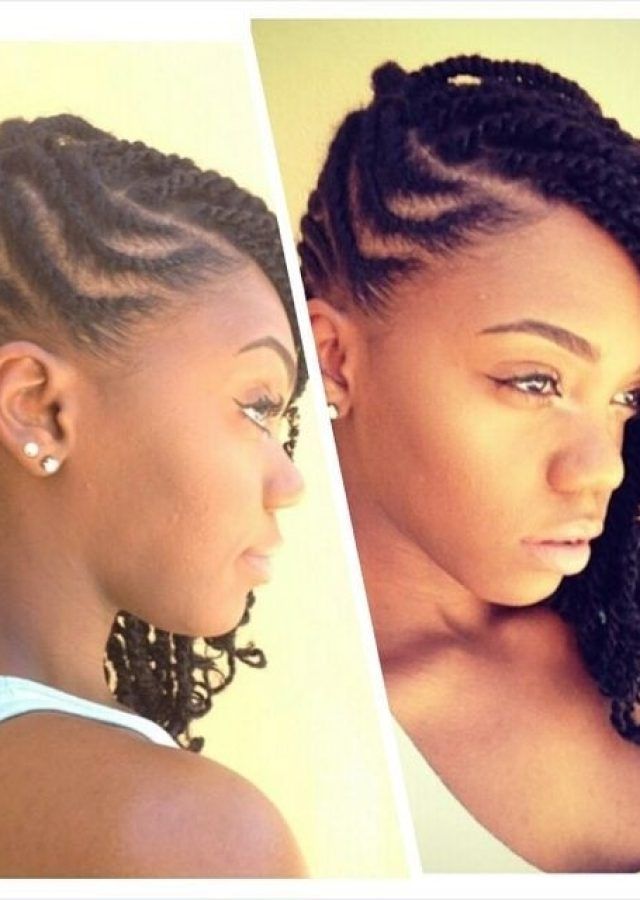 15 Collection of Braided Hairstyles with Natural Hair