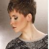 Choppy Pixie Hairstyles With Tapered Nape (Photo 5 of 25)