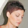 Tapered Pixie Hairstyles With Extreme Undercut (Photo 3 of 25)
