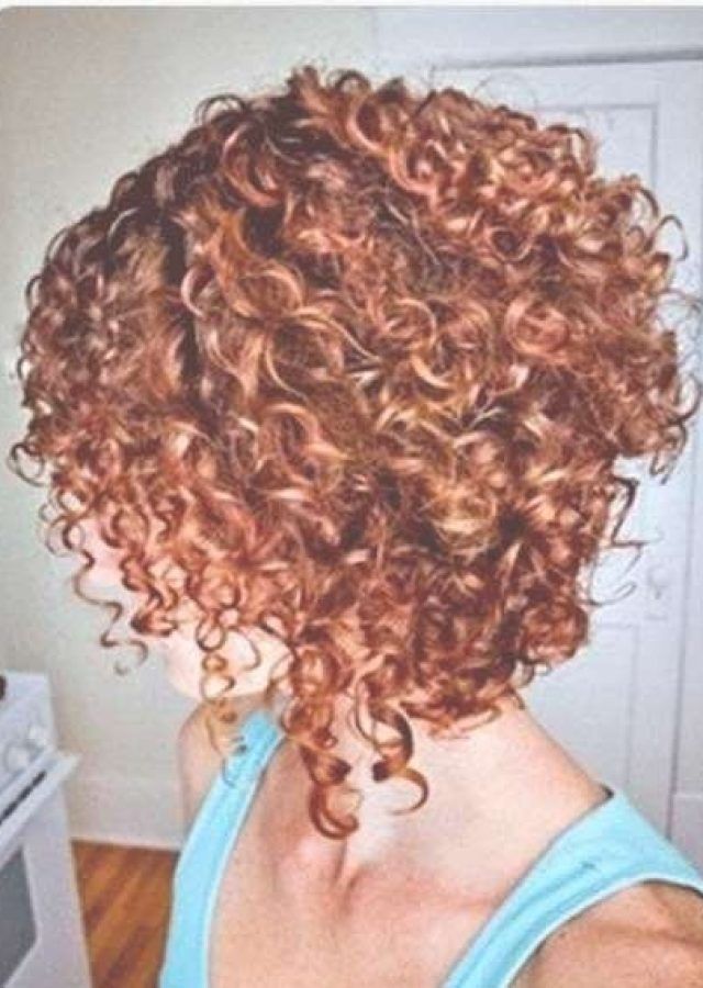 15 Best Ideas Stacked Bob Haircuts for Curly Hair