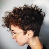 Short Curly Mohawk Hairstyles (Photo 21 of 25)
