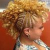 Short Curly Mohawk Hairstyles (Photo 25 of 25)