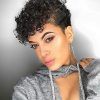 Short Black Pixie Hairstyles For Curly Hair (Photo 10 of 25)