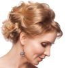 Updo Hairstyles For Mother Of The Bride (Photo 9 of 15)