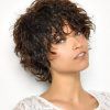 Shaggy Hairstyles For Thick Curly Hair (Photo 7 of 15)