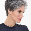 Short Hairstyles For Women With Gray Hair (Photo 14 of 25)