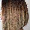 Straight Textured Angled Bronde Bob Hairstyles (Photo 14 of 25)