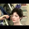 Audrey Hepburn Inspired Pixie Haircuts (Photo 19 of 25)