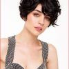 Short Haircuts For Thick Curly Hair (Photo 22 of 25)