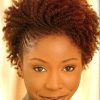 Braided Hairstyles For Short Natural Hair (Photo 9 of 15)