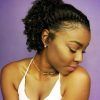 Pixie Hairstyles For Natural Hair (Photo 11 of 15)