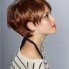 Fall Short Hairstyles (Photo 2 of 25)