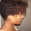 Pixie Hairstyles For Natural Hair (Photo 15 of 15)