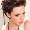 Short Haircuts For Thick Curly Frizzy Hair (Photo 6 of 25)