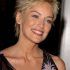  Best 25+ of Sharon Stone Short Haircuts