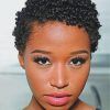 Black Women Natural Short Haircuts (Photo 17 of 25)