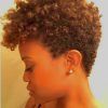 Curly Black Short Hairstyles (Photo 8 of 25)