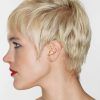 Pixie Layered Short Haircuts (Photo 12 of 25)