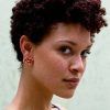 Short Haircuts For Curly Black Hair (Photo 25 of 25)